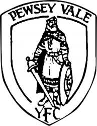 Pewsey Vale Youth FC badge